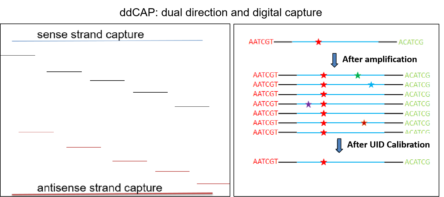 Essential NGS Panel_Amoydx