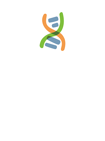 Detection of BRCA1/2 genes (SNVs/InDels) and Genomic Scar Score (GSS)