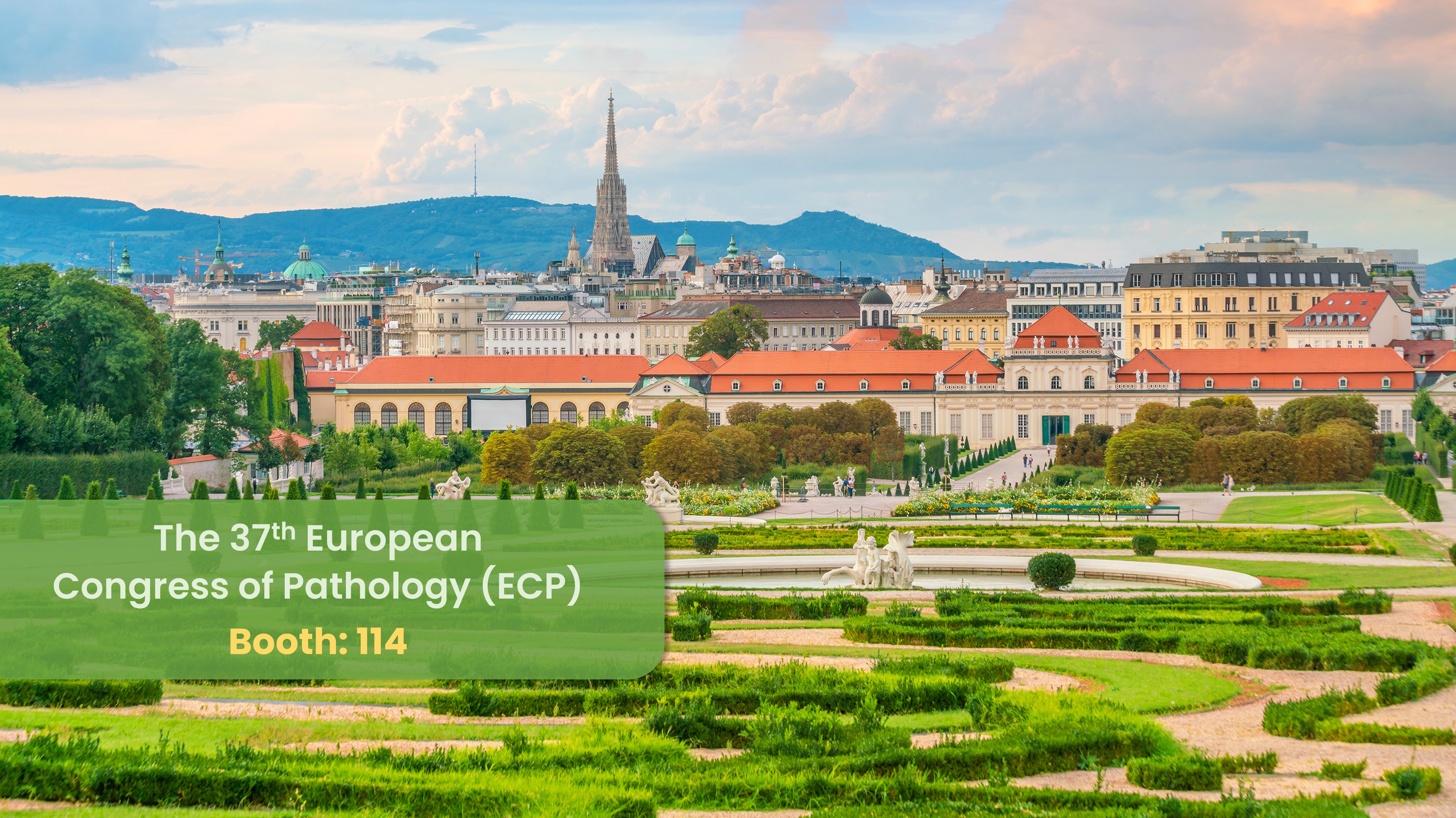 The 37th European Congress of Pathology (ECP)
